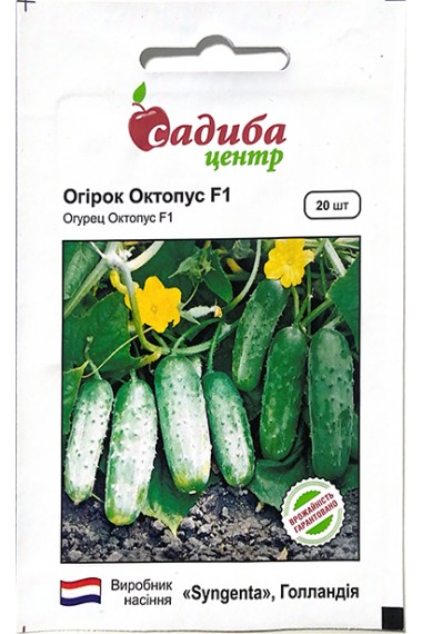 Огірок Октопус F1