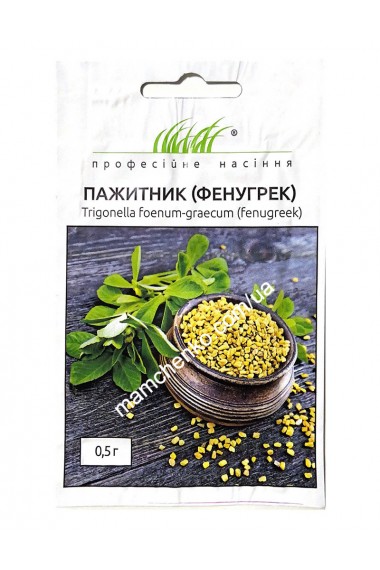 Пажитник (фенугрек)