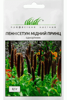 Пеннісетум (просо декоративне) Мідний Принц (0,1г)