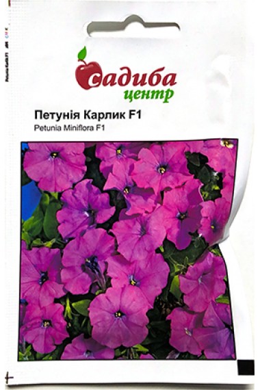 Петунія Карлик фіолетова F1