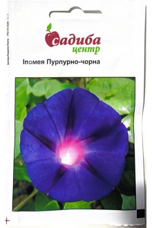 Іпомея Пурпурно-чорна (0,5г)