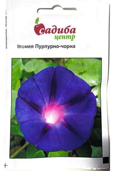 Іпомея Пурпурно-чорна
