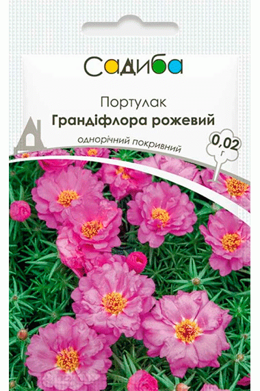 Портулак Грандіфлора рожевий