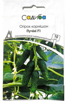Огірок Пучіні F1 (10шт)