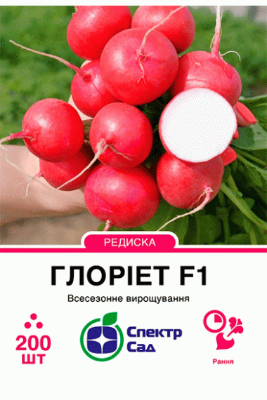Редис Глоріет F1