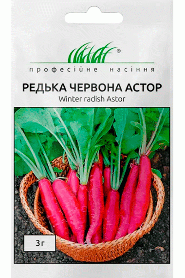 Редька Астор