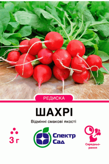 Редис Шахрі F1
