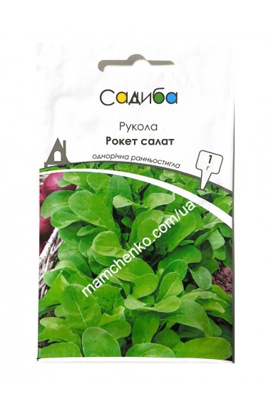 Рукола (рокет салат) 