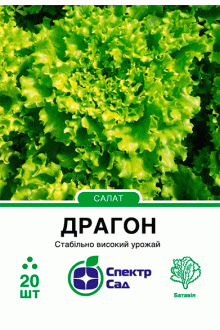 Салат батавія Драгон (20шт)