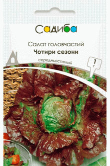 Салат головчастий Чотири сезони (1г)