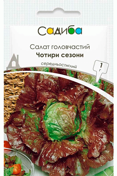 Салат головчастий Чотири сезони
