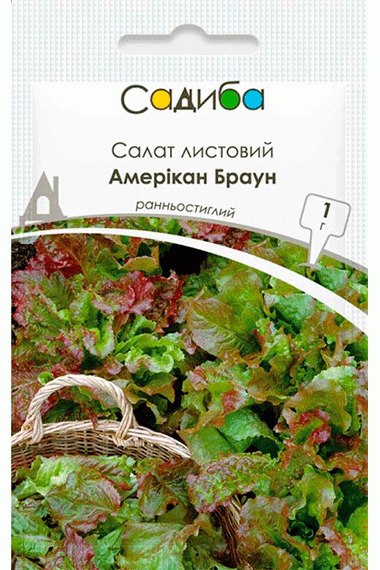 Салат листовий Амерікан Браун