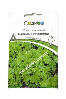 Салат листовий Одеський кучерявець (2г)