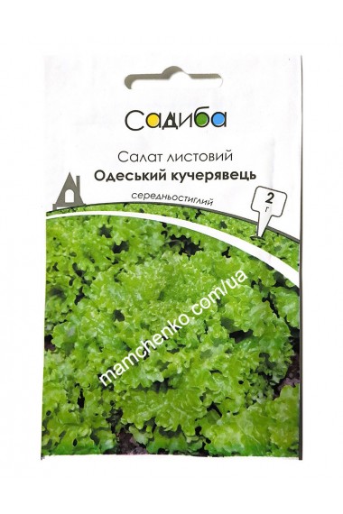 Салат листовий Одеський кучерявець