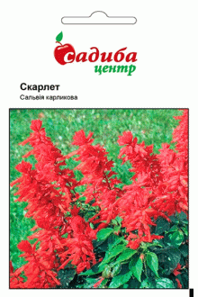 Сальвія Скарлет (0.1г)