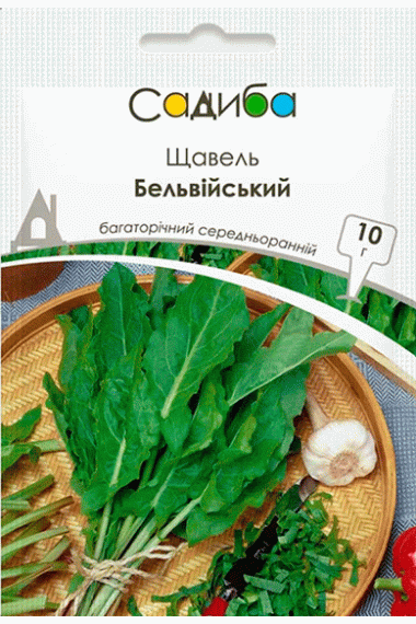Щавель Бельвійський