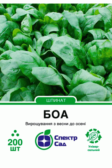 Шпинат Боа 