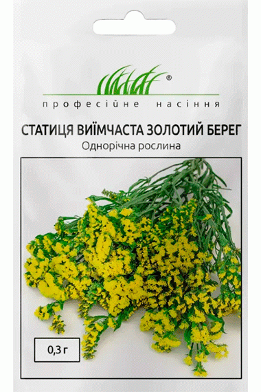 Статиця Золотий берег