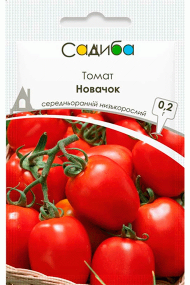 Томат Новачок 