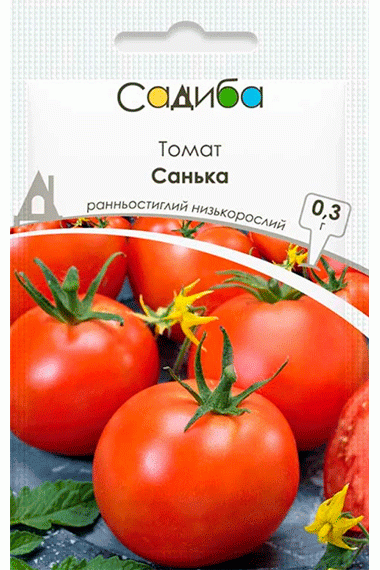 Томат Санька 