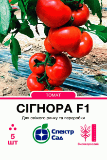 Томат Сігнора F1 (5шт)
