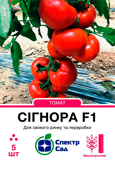 Томат Сігнора F1