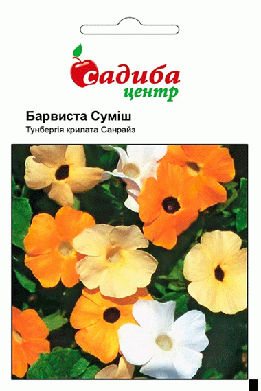 Тунбергія Барвиста суміш