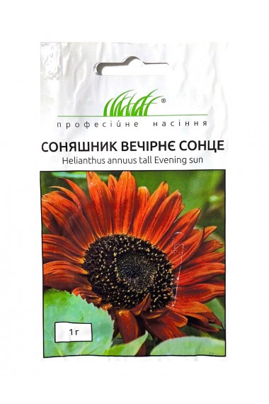 Соняшник Вечірнє сонце 