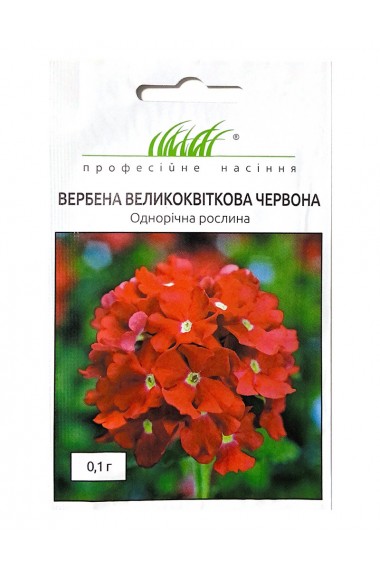 Вербена Великоквіткова червона 
