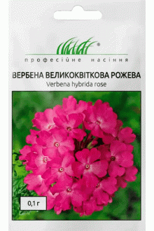 Вербена великоквіткова рожева (0.1г)