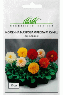 Жоржина махрова Фреско F1 (10 шт)