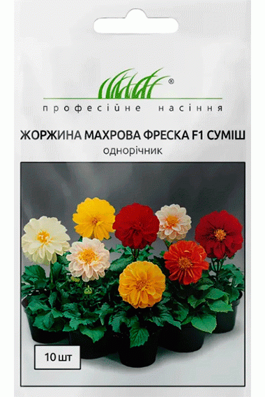 Жоржина махрова Фреско F1